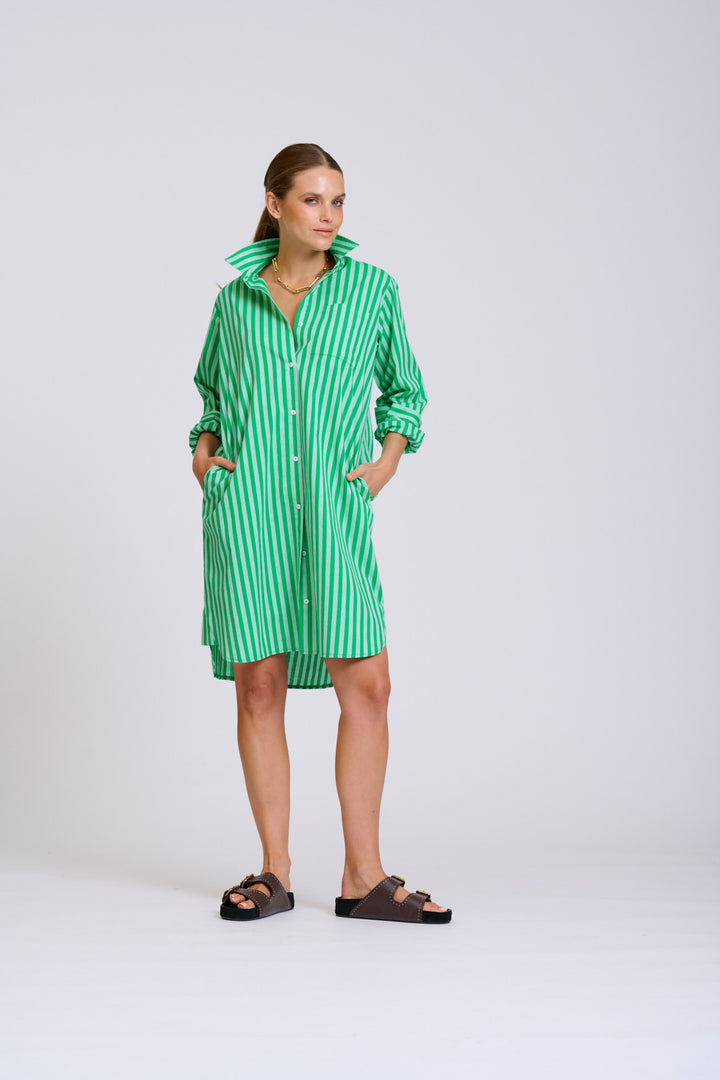 Classis Cotton Shirtdress Green Stripe