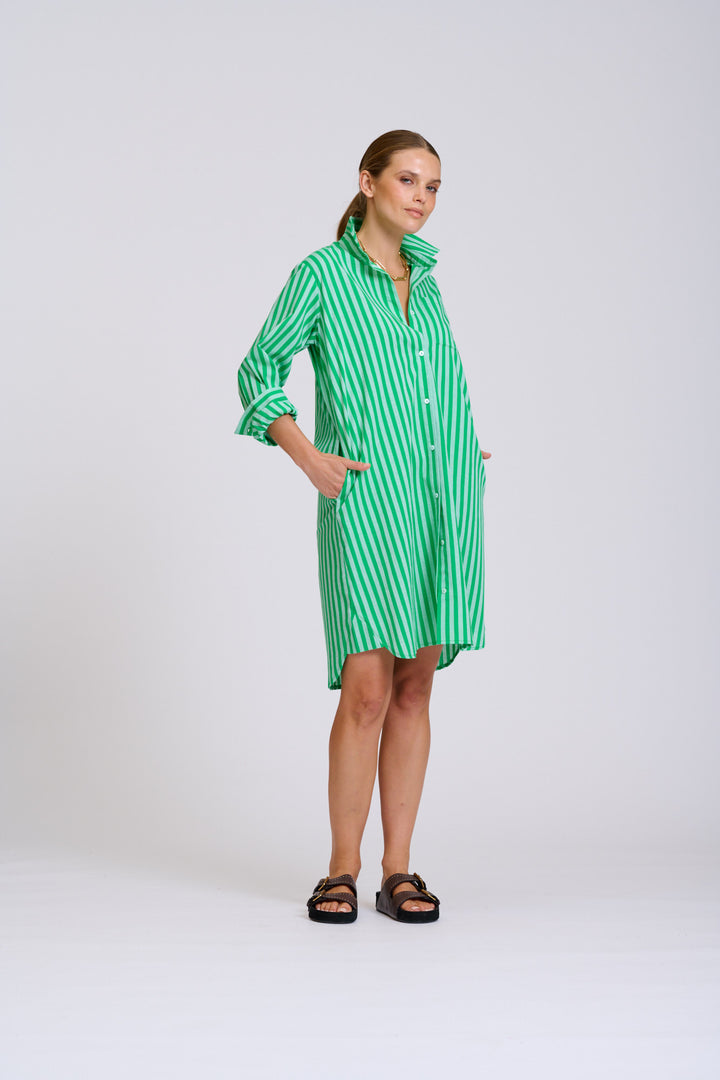 Classis Cotton Shirtdress Green Stripe