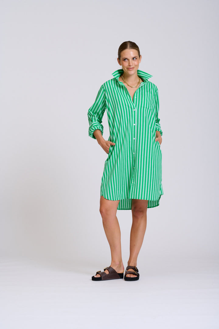 Classis Cotton Shirtdress Green Stripe