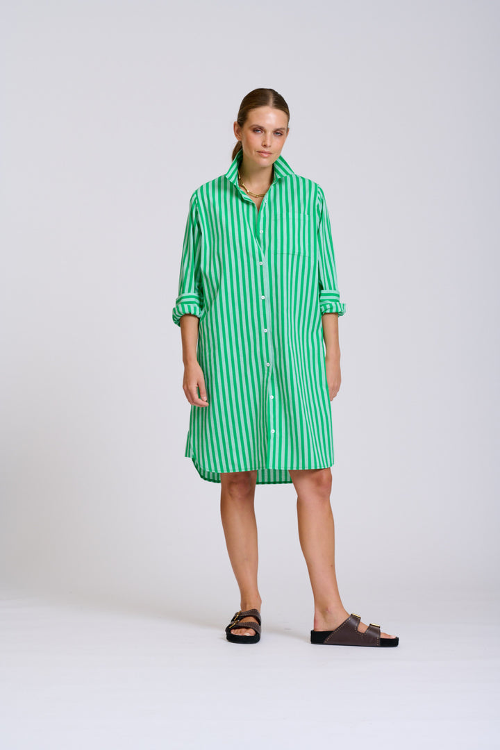 Classis Cotton Shirtdress Green Stripe
