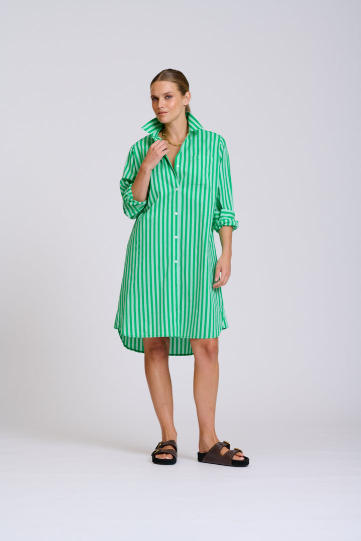 Classis Cotton Shirtdress Green Stripe
