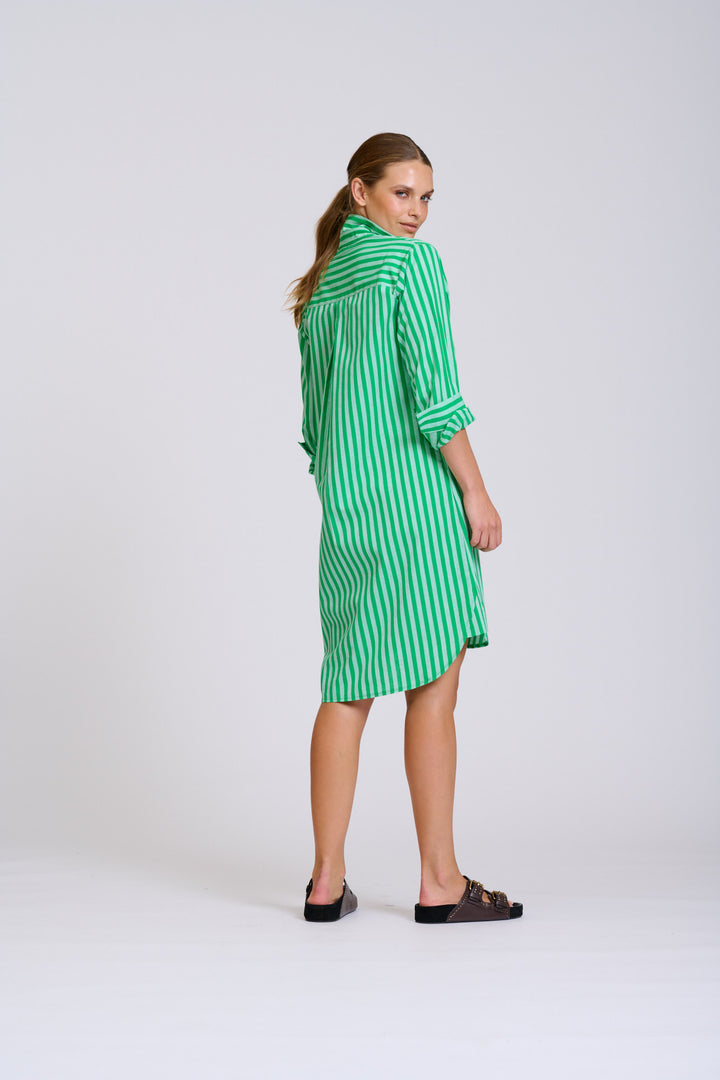 Classis Cotton Shirtdress Green Stripe