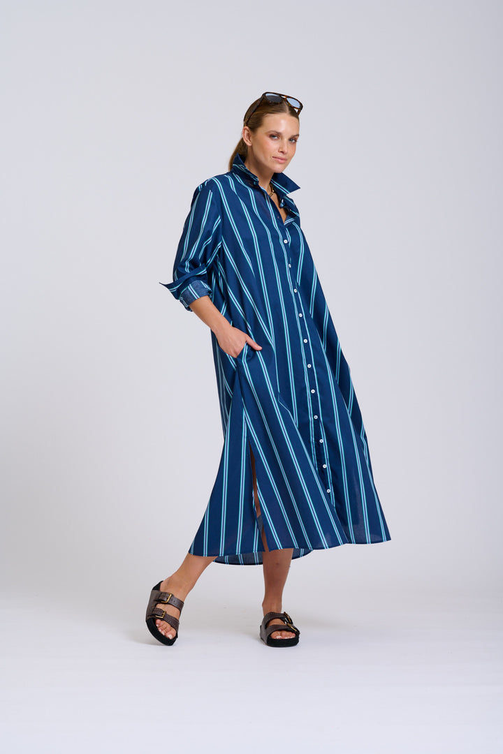 Luna Navy and Green Stripe Dress