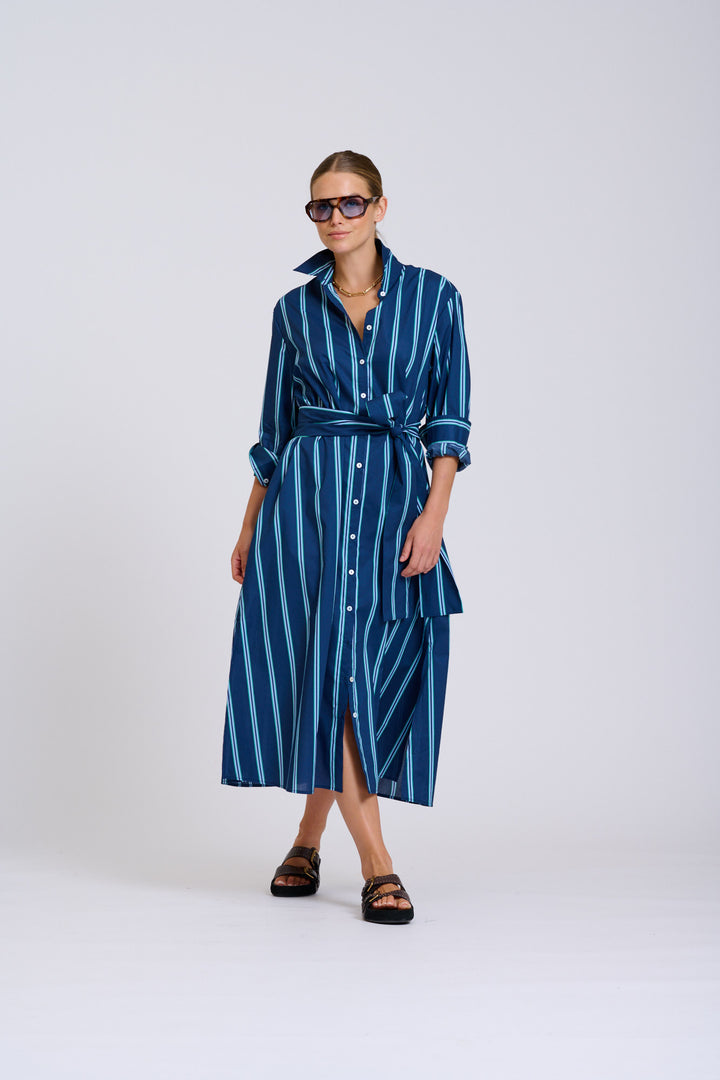 Luna Navy and Green Stripe Dress