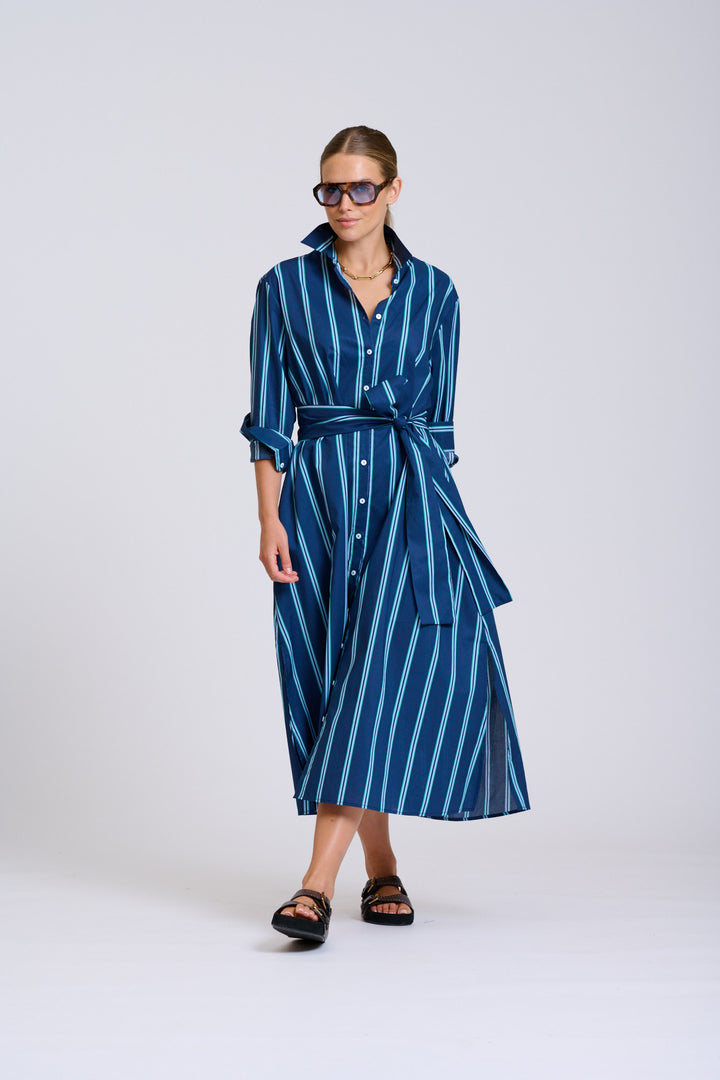 Luna Navy and Green Stripe Dress