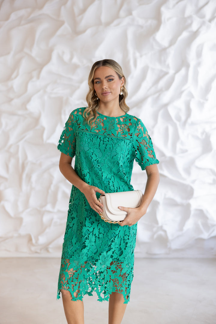 Gupuire lace Dress