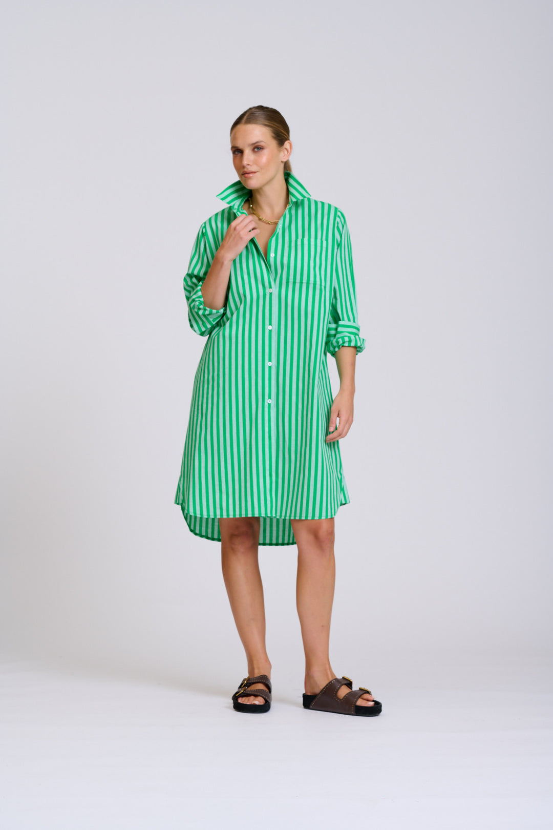 Classis Cotton Shirtdress Green Stripe